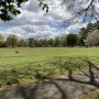 Ashburton Park