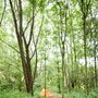 Lee Valley Almost Wild Campsite