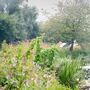 Lee Valley Almost Wild Campsite