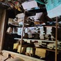 Basement for Crazies