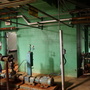 Plant Takeover at Abandoned Plant  - Bell Works
