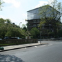 Thicket Road