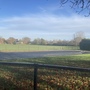 Alexandra recreation ground