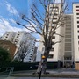 Roscoe Street Estate