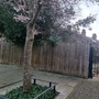 Rosendale Road Estate