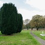 Hounslow Cemetery