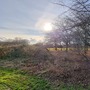 Clayton Hill