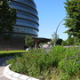 Potters Fields Park