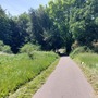 Martins Hill Open Space