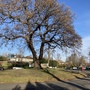 Sydenham Avenue