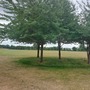 Duke's Meadows