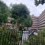 Tachbrook Estate