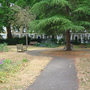 Lonsdale Square