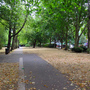 King Square Gardens