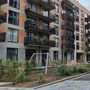 Fish Island Village