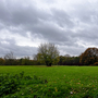 Bedfords Park