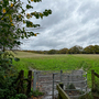Bedfords Park