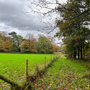 Havering Country Park