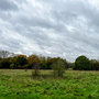 Havering Country Park