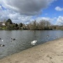 Raphael Park