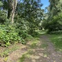 Cornmill Meadows & Wood