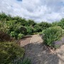 Waltham Abbey Gardens