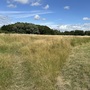 Britannia Meadows