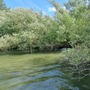 Bowyer's Water