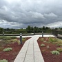 Oxford Roof Terrace