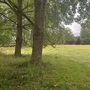 College Meadow