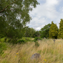 Kingston Cemetery and Crematorium