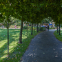 Russell Square Gardens