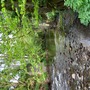 Leat Farm & Barn