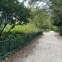 Crystal Palace Park - Lower Lake