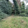 Crystal Palace Park - Secret Garden