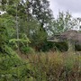 Crystal Palace Park - Dinosaur Island