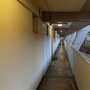 The Brunswick Centre - Interiors