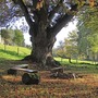 Pendarren House - Exteriors & Grounds