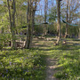 Sevenoaks Campsite & Meadow