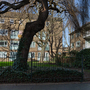 Cremorne Estate
