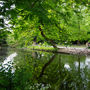 Lloyd Park