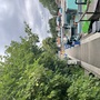 Springfield Marina