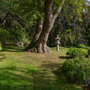 Holland Park - Kyoto Garden