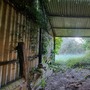 Sotterley Estate - Disused Farm