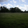 Arts and Crafts House - Stables and Grounds