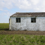 (3/12/2025 3:59:44 PM)