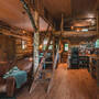 Halvana Forest Shed