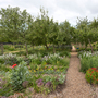 Chiswick House - Kitchen Garden