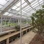 Chiswick House - Conservatory