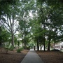 Thrasher Park